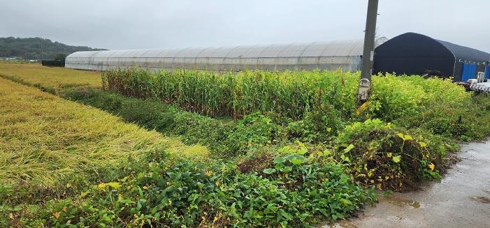 _KakaoTalk_20251010_173329906_04.jpg 이미지