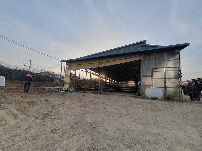 KakaoTalk_20250331_185229646.jpg 이미지