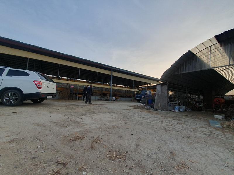 KakaoTalk_20250331_185229646_01.jpg 이미지