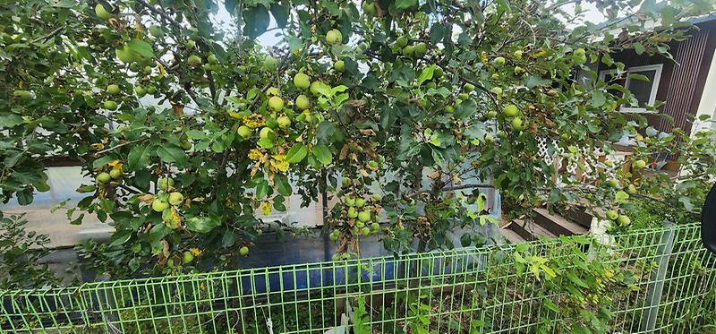 KakaoTalk_20250729_140113736_02.jpg 이미지