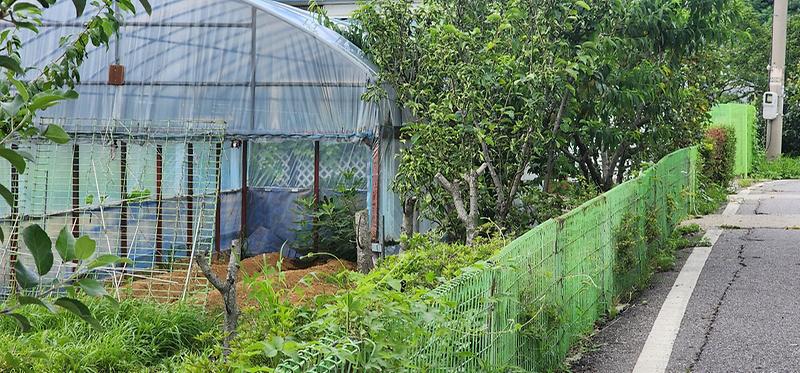 KakaoTalk_20250729_140113736_03.jpg 이미지