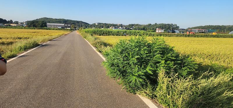 KakaoTalk_20250926_122709930.jpg 이미지