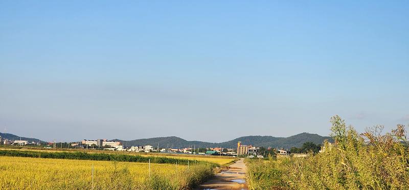 KakaoTalk_20250926_122709930_02.jpg 이미지