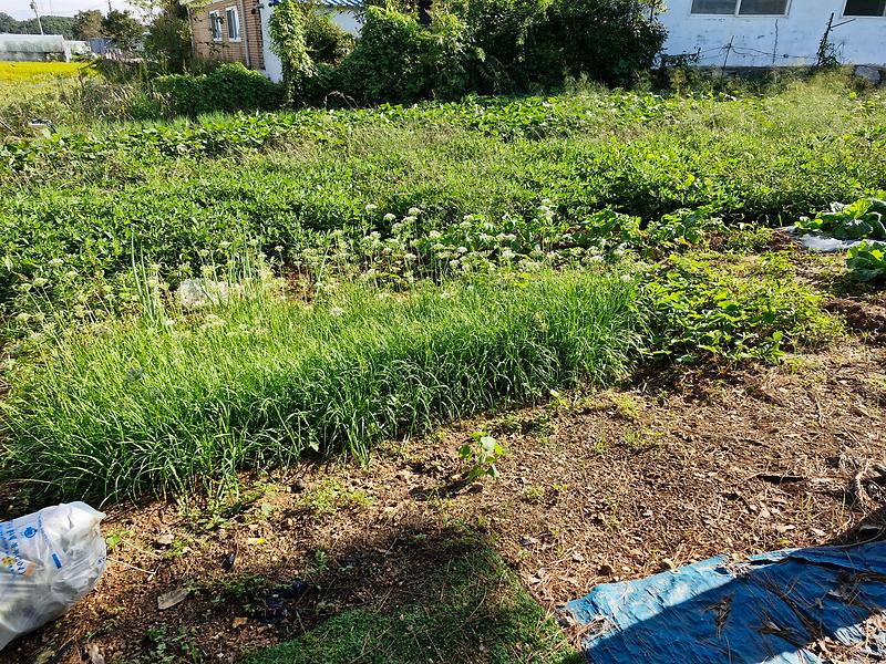 KakaoTalk_20250927_134818747_08.jpg 이미지