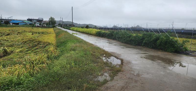 KakaoTalk_20251010_173329906_03.jpg 이미지