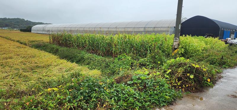 KakaoTalk_20251010_173329906_04.jpg 이미지