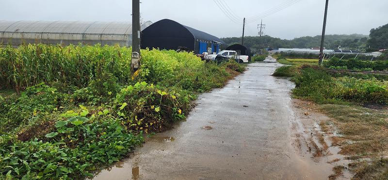 KakaoTalk_20251010_173329906_05.jpg 이미지