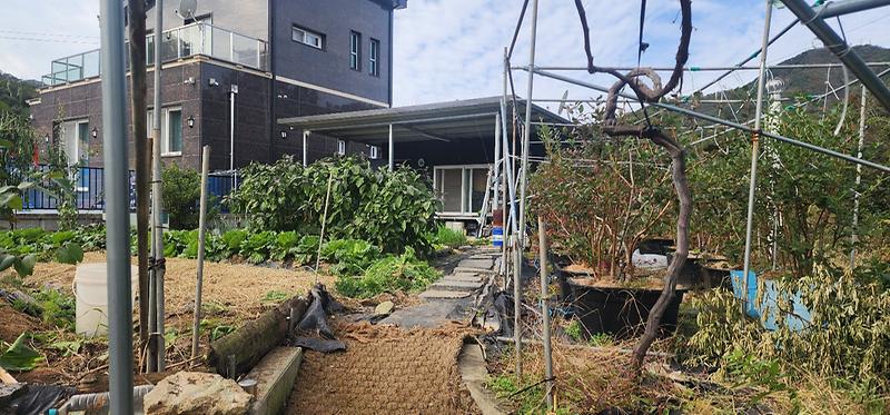 KakaoTalk_20251024_142227707_09.jpg 이미지