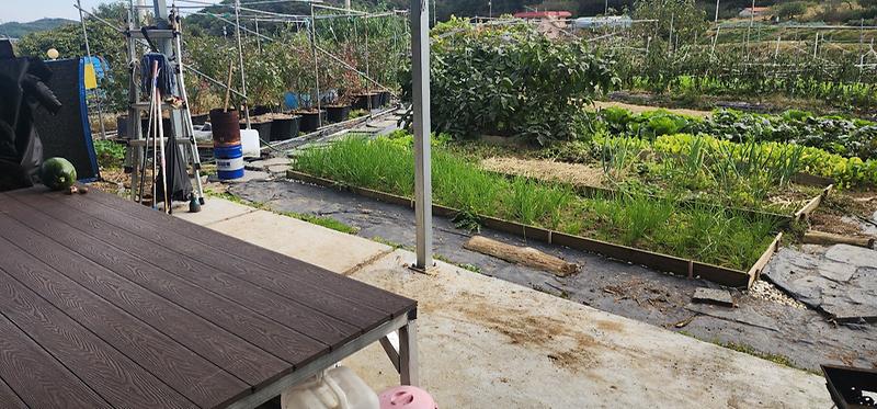 KakaoTalk_20251024_142227707_11.jpg 이미지