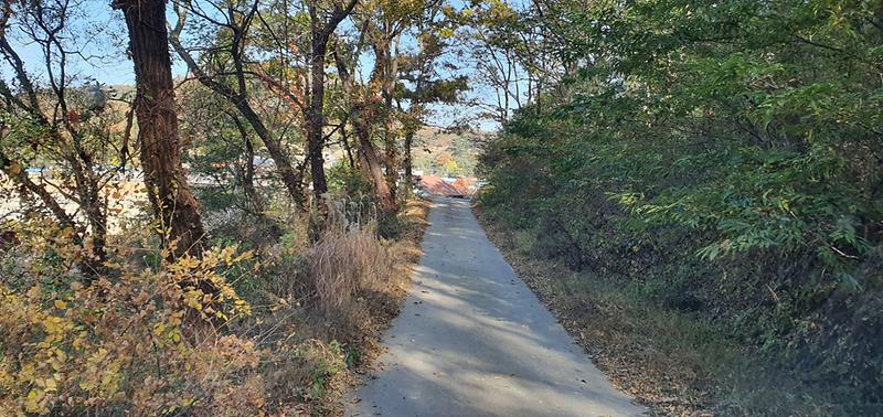 크기변환_20201029_144415.jpg 이미지