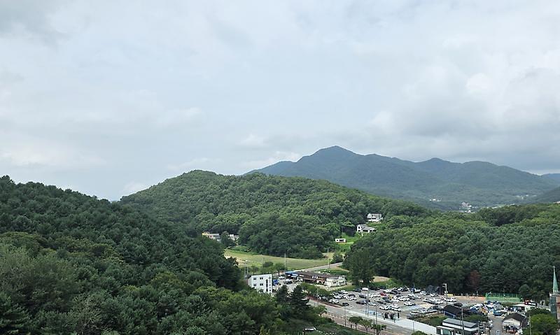 110447.jpg 이미지