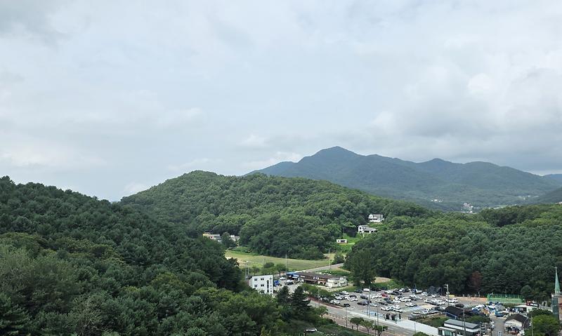 110447.jpg 이미지