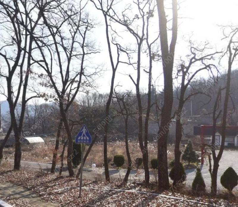 1726362940256＿（1）.jpg 이미지