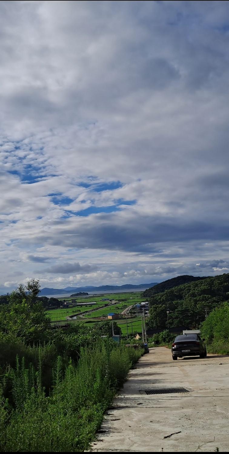 1752701594635.jpg 이미지