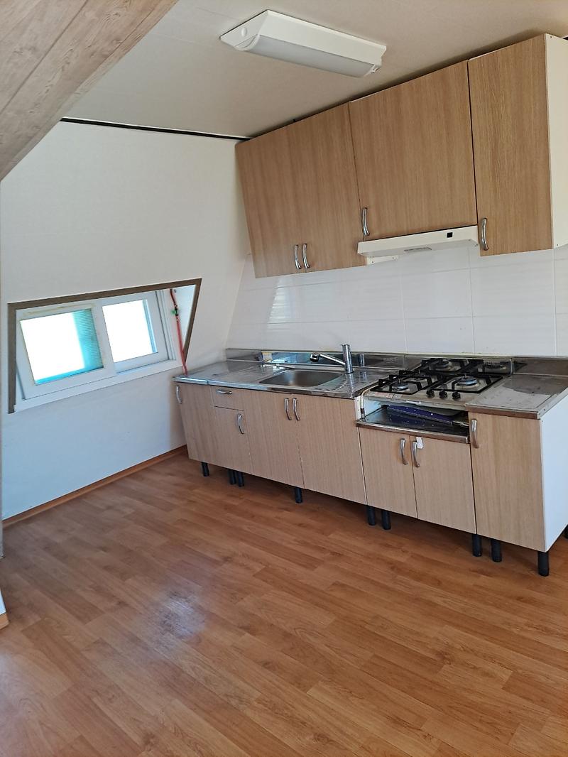 1763457889119.jpg 이미지