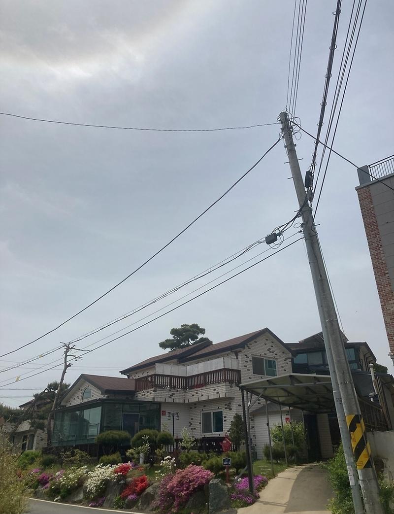 1767500257963.jpg 이미지