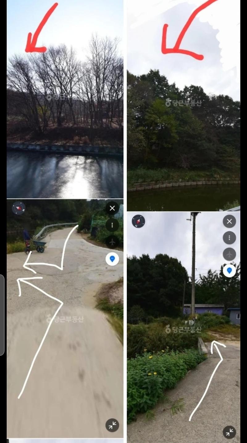 1772255865955.jpg 이미지