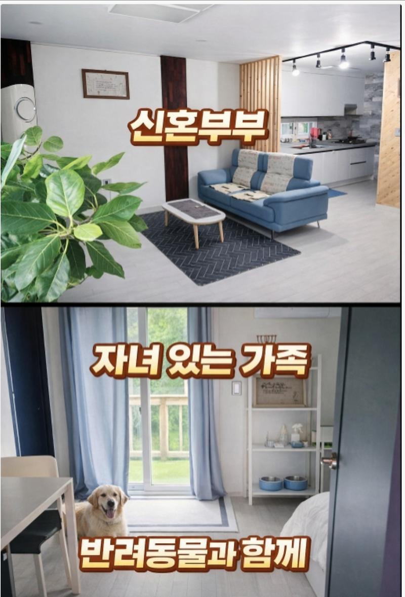 1776299880568.jpg 이미지