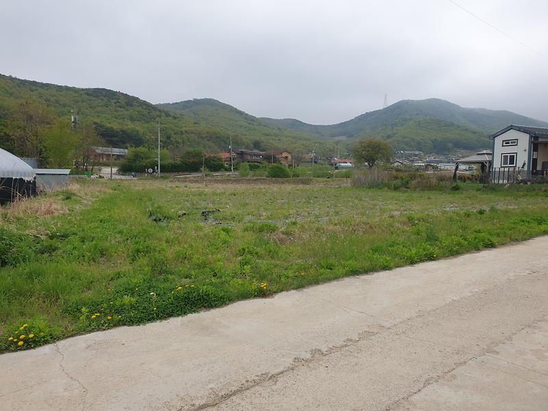 20240425_113521.jpg 이미지