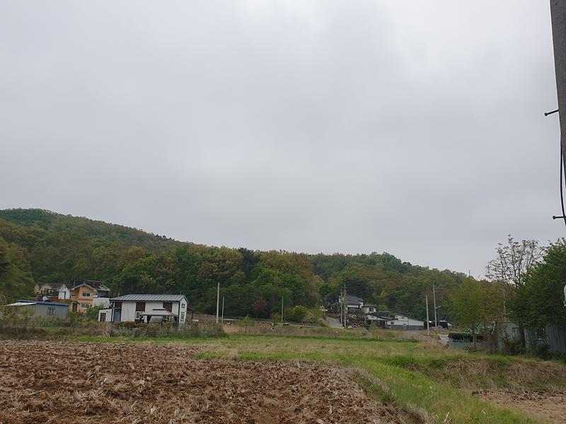 20240425_114103.jpg 이미지