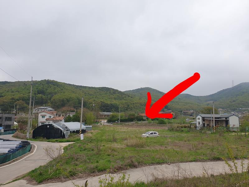 20240425_213833.jpg 이미지