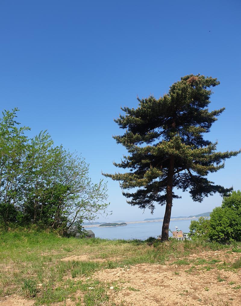 20240502_091732.jpg 이미지