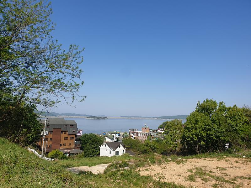 20240502_091948.jpg 이미지