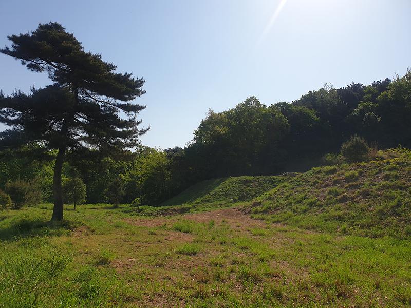 20240502_092017.jpg 이미지