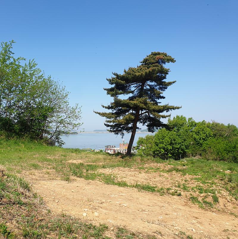 20240502_094125.jpg 이미지