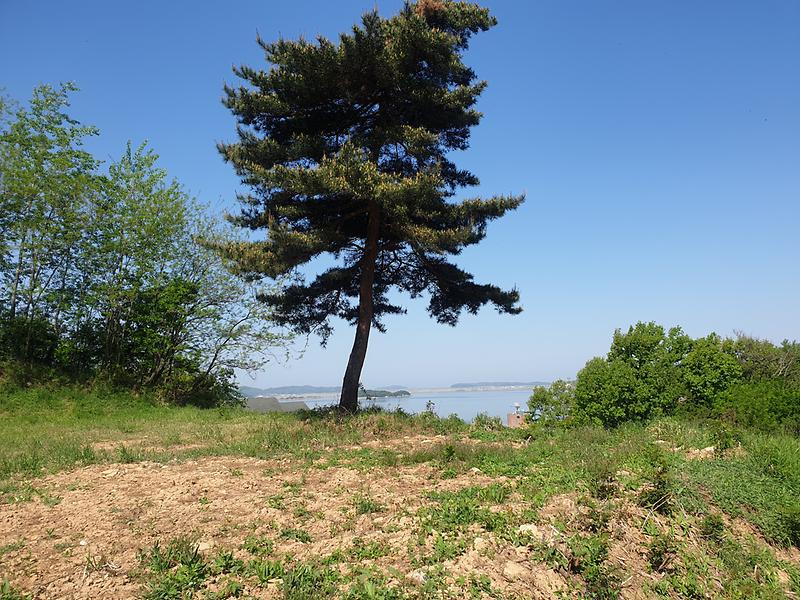 20240502_094155.jpg 이미지