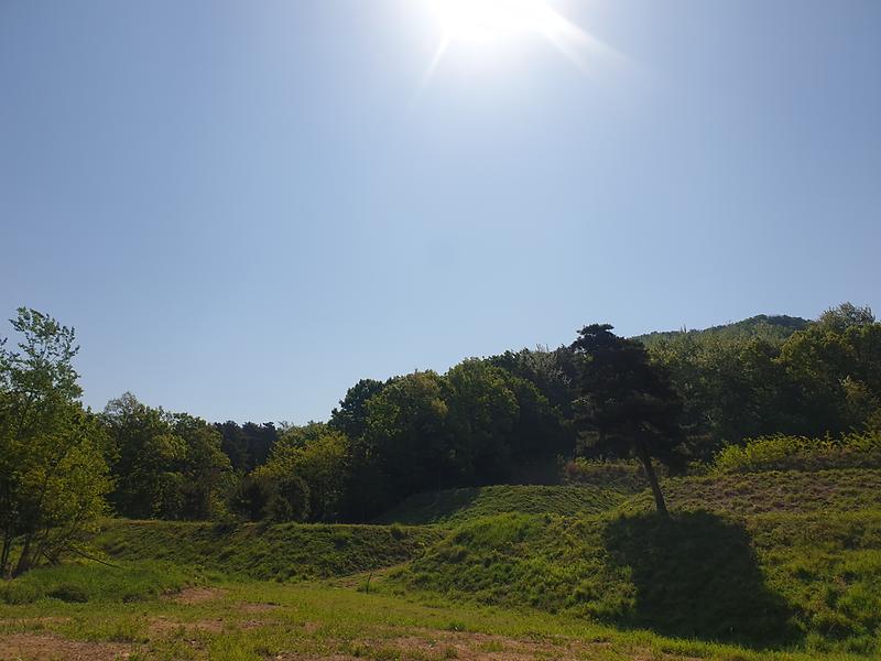 20240502_094332.jpg 이미지