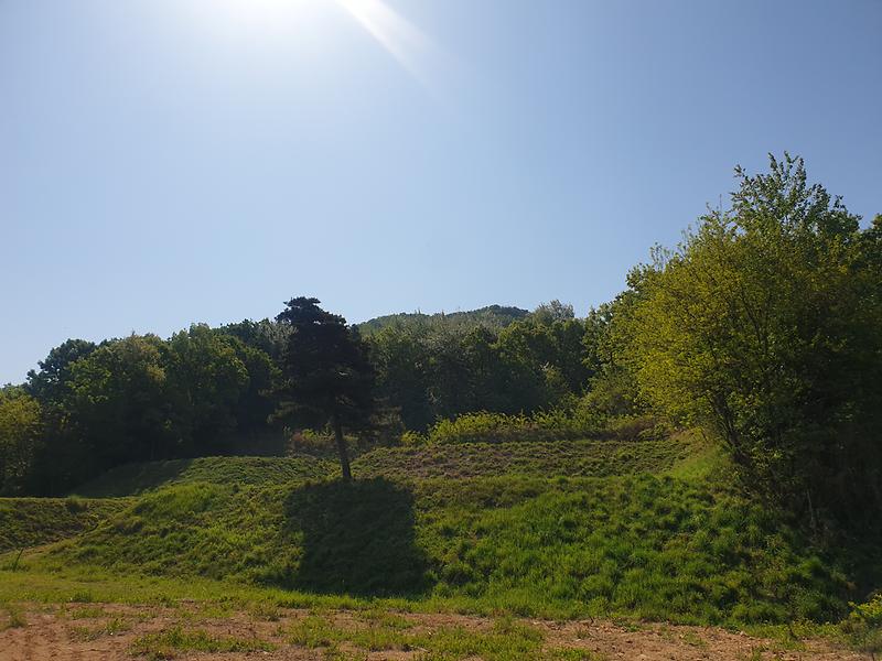 20240502_094350.jpg 이미지