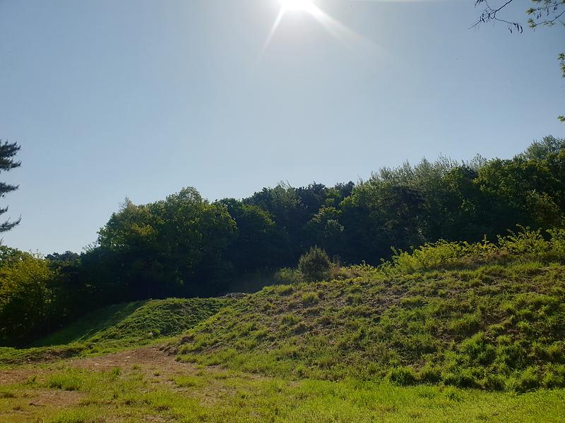 20240502_160708.jpg 이미지