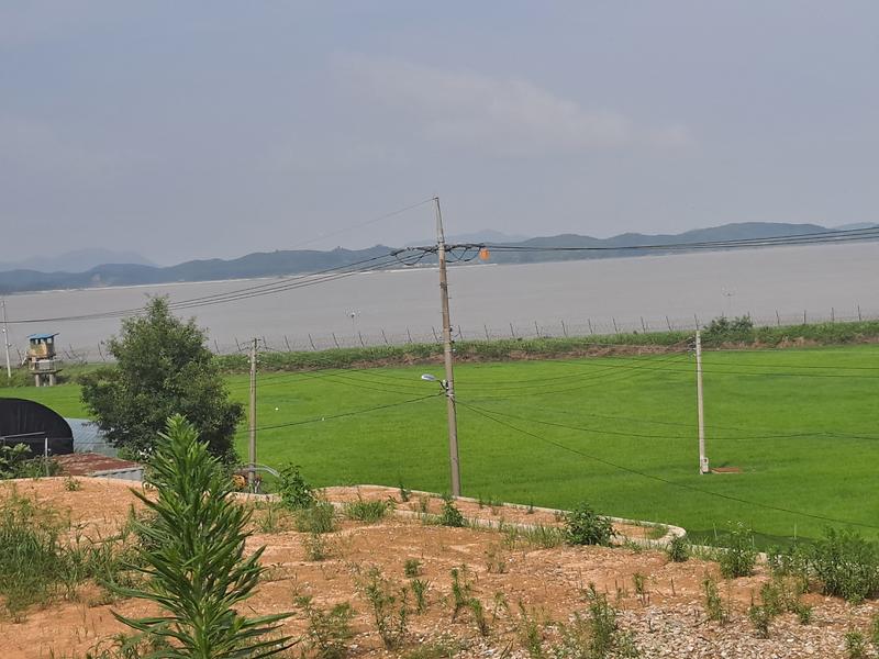 20240719_154207.jpg 이미지