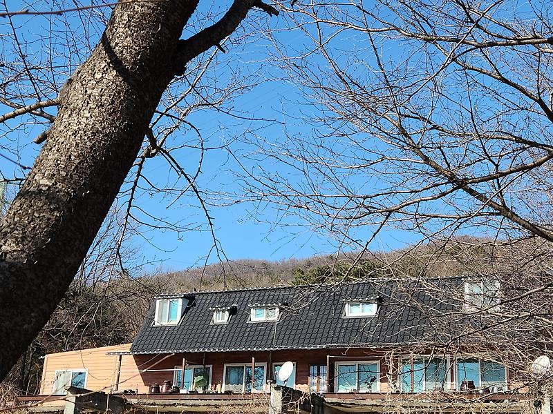 20241222_133854.jpg 이미지