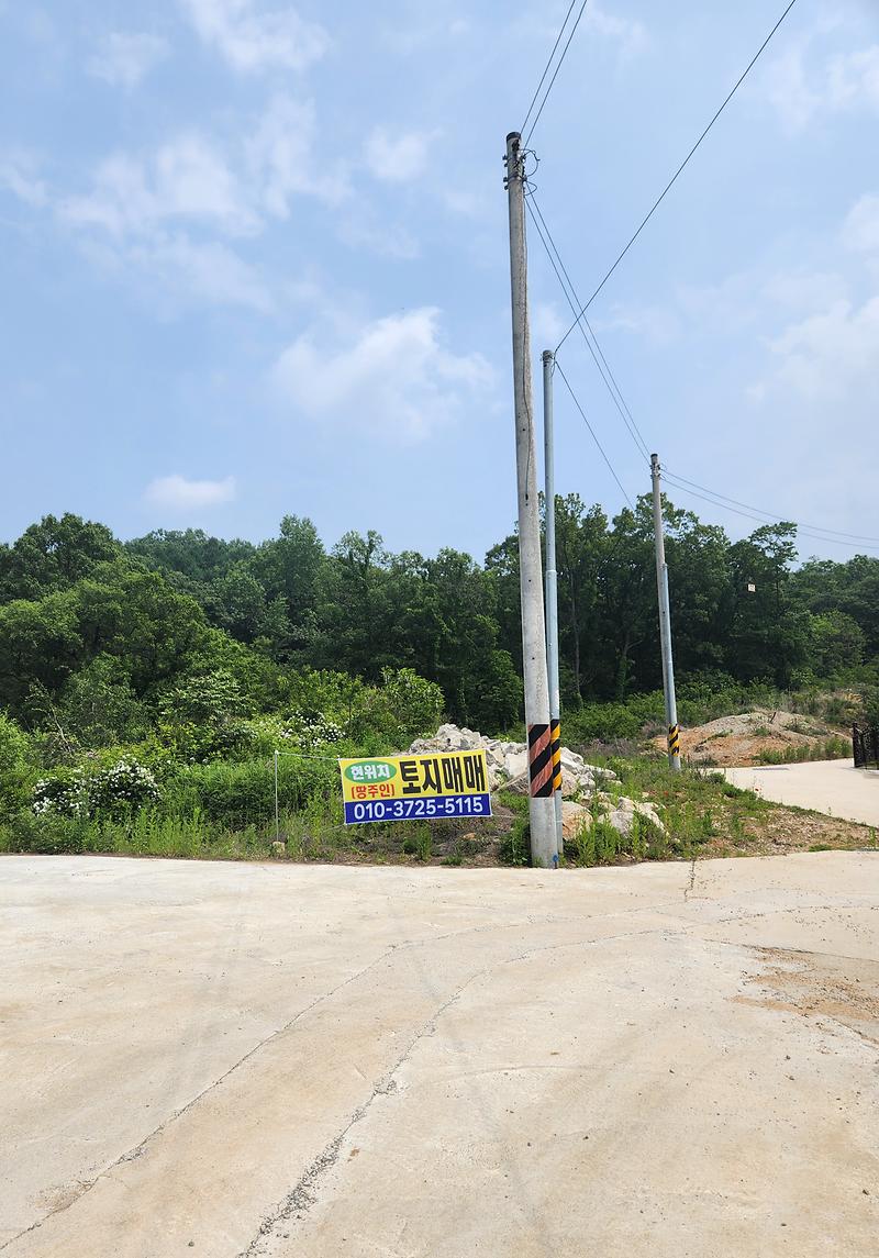 20250528_134432.jpg 이미지