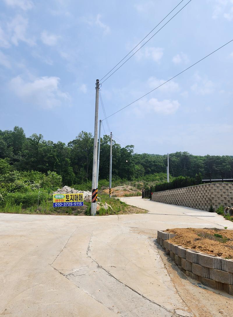 20250528_134437.jpg 이미지