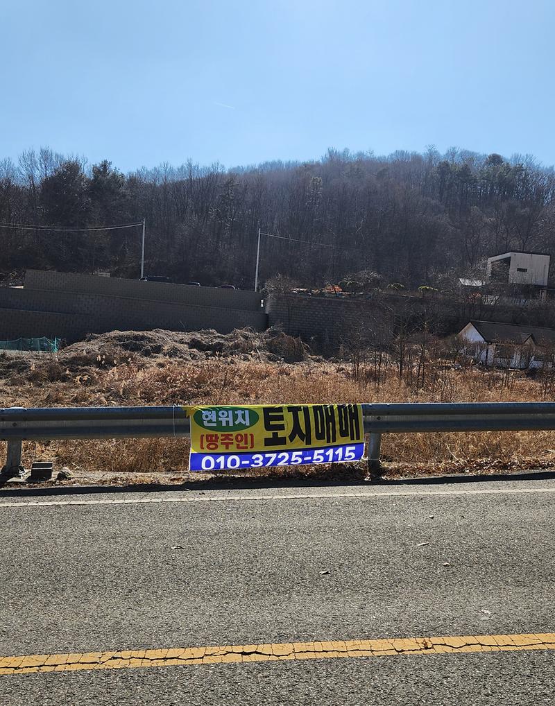 20260218_131255.jpg 이미지