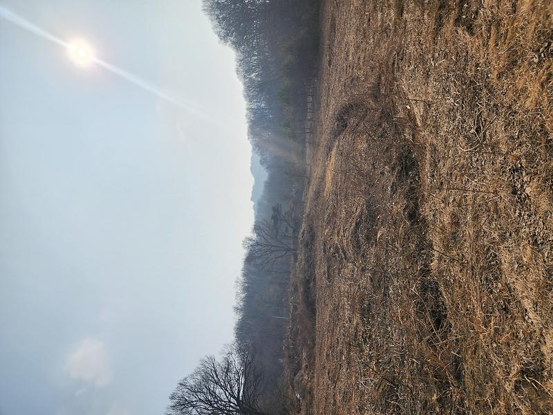 20260220_145304(0).jpg 이미지