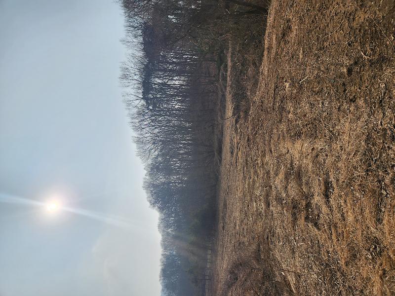 20260220_145305(0).jpg 이미지