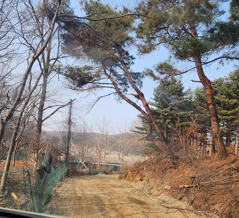 20260220_145518.jpg 이미지