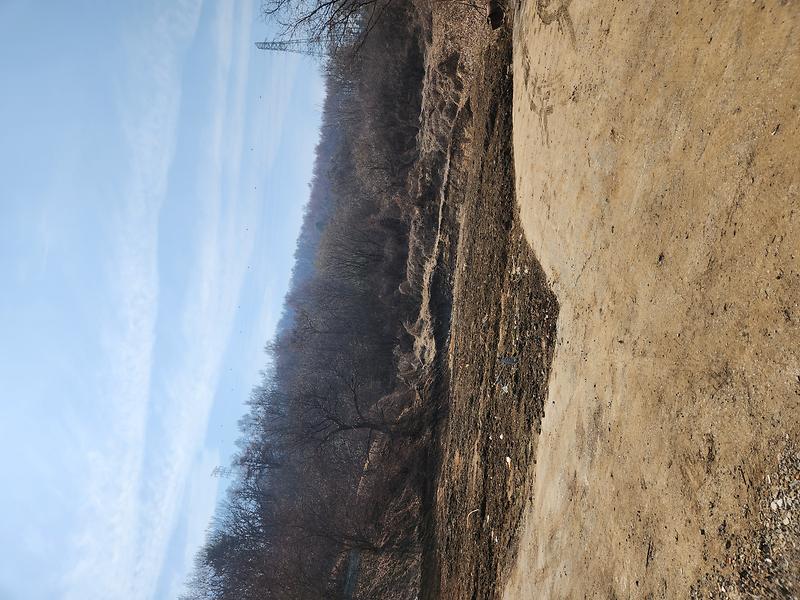 20260316_114428.jpg 이미지