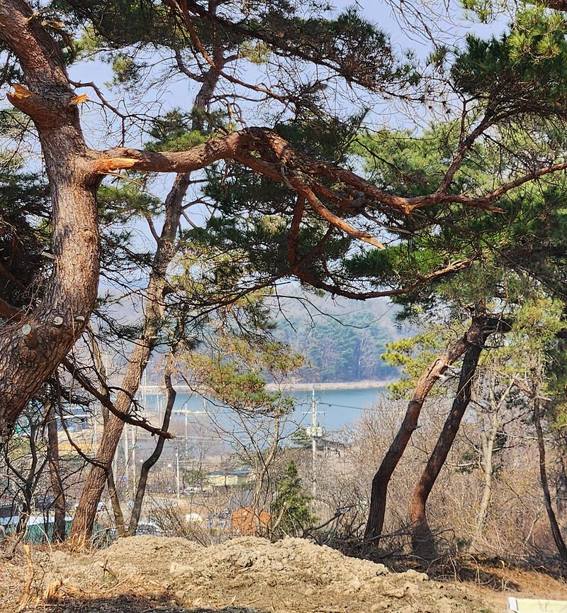 20260316_114618.jpg 이미지