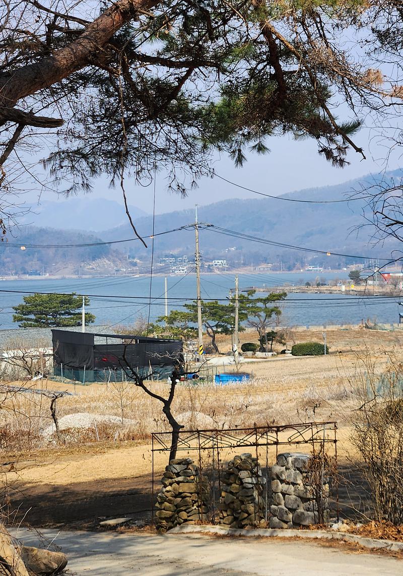 20260316_115200.jpg 이미지