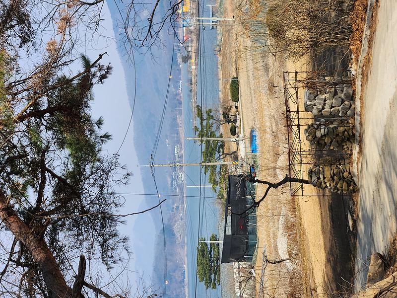 20260316_115200.jpg 이미지