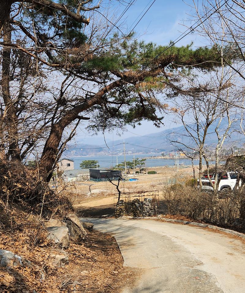 20260316_115206.jpg 이미지