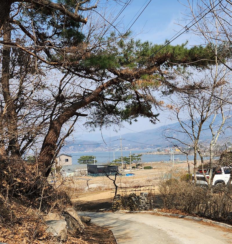 20260316_115206.jpg 이미지