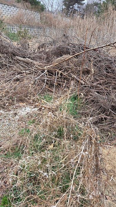 국화리_2.jpg 이미지