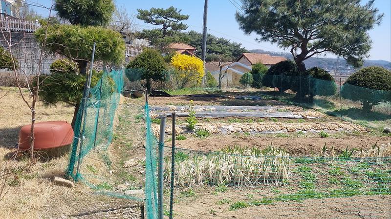 장정리226-5_전세.jpg_1.jpg 이미지