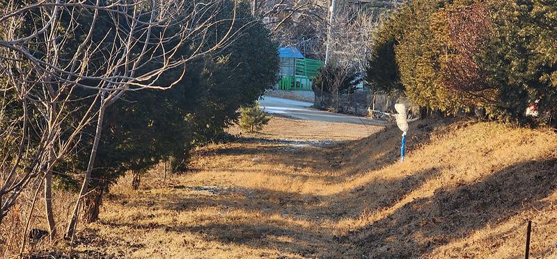 KakaoTalk_20260124_172336650_03_(1).jpg 이미지